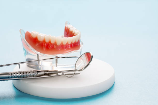 Best Dental Exams and Cleanings  in Newport, NC